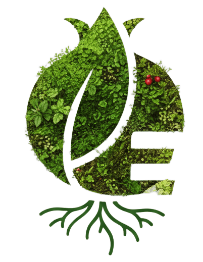 Ecogranagreen, E de nuestros productos eco, la granada de nuestro origen y la vegetación lo contiene es nuestro compromiso de ser verdes.